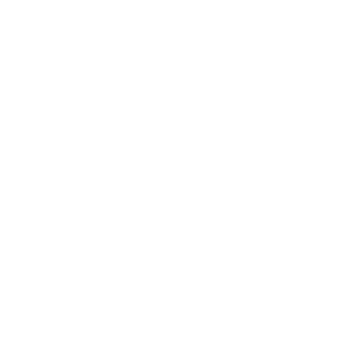 lecorvisier-logo-branco-500.png